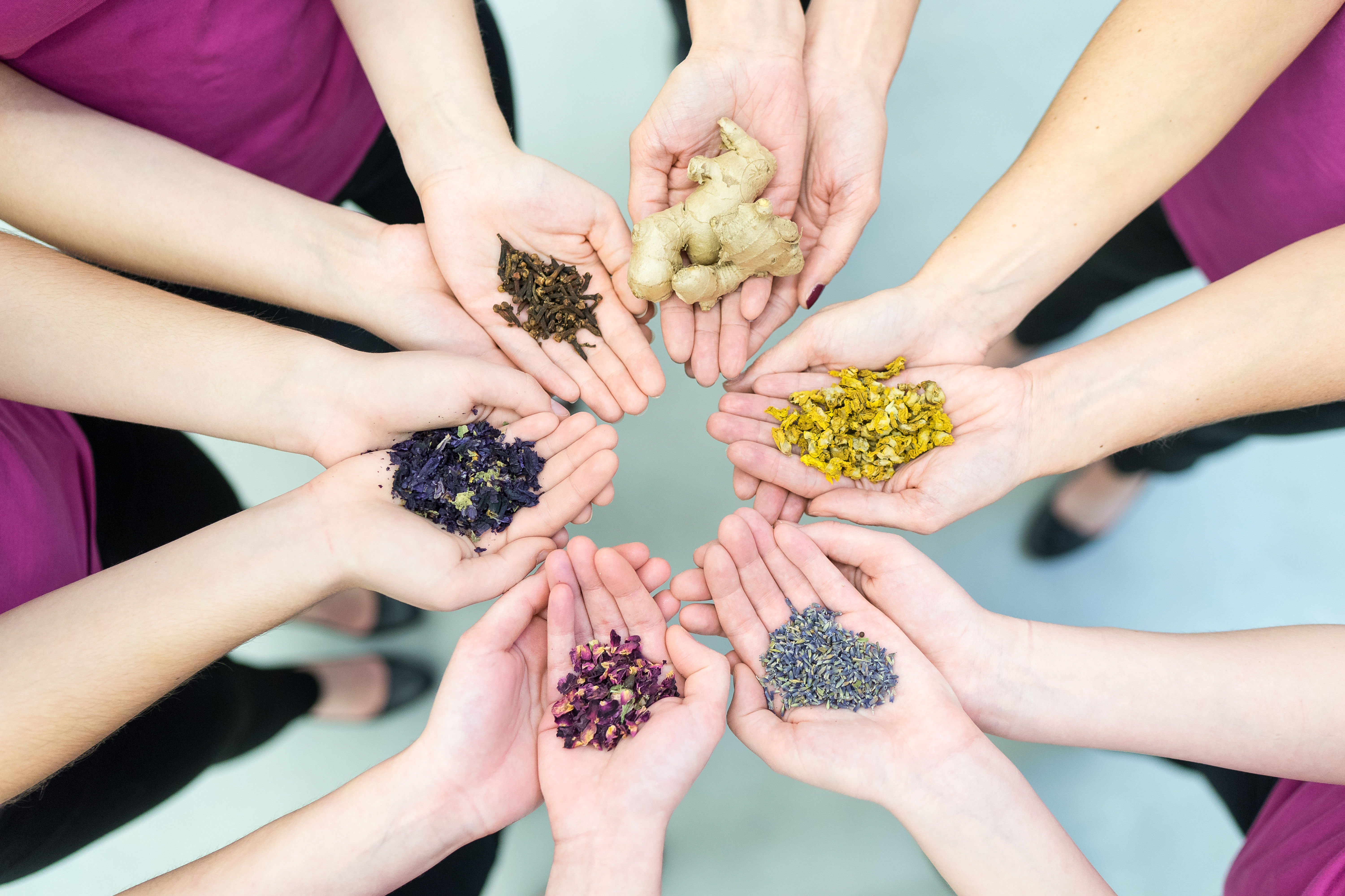 Einhorn Apotheke Wels Logo